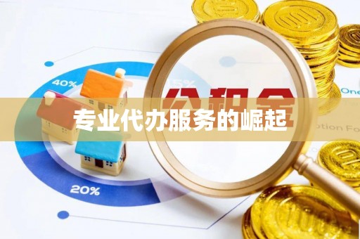 陆丰专业代办服务的崛起