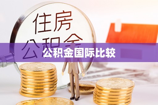 陆丰公积金国际比较