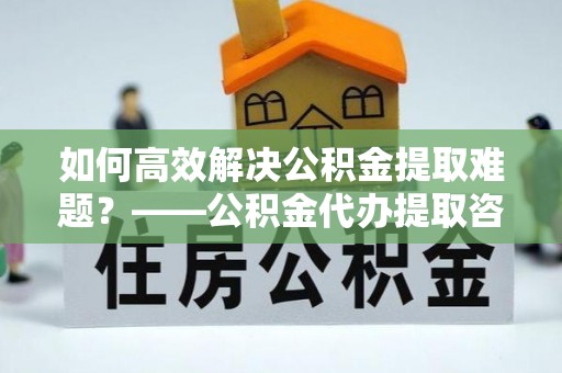 陆丰如何高效解决公积金提取难题？——公积金代办提取咨询服务全解析