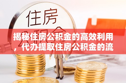 陆丰揭秘住房公积金的高效利用，代办提取住房公积金的流程与技巧