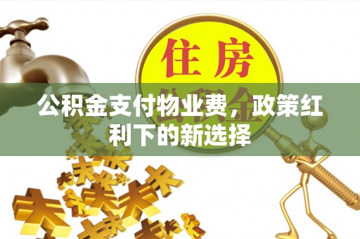 陆丰公积金支付物业费，政策红利下的新选择