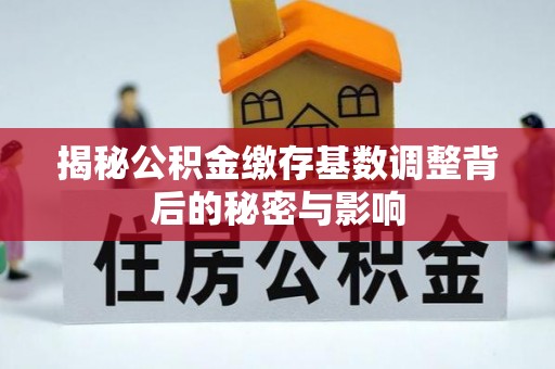 陆丰揭秘公积金缴存基数调整背后的秘密与影响