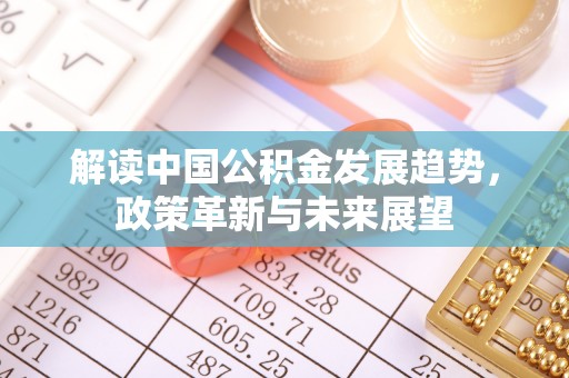 陆丰解读中国公积金发展趋势，政策革新与未来展望