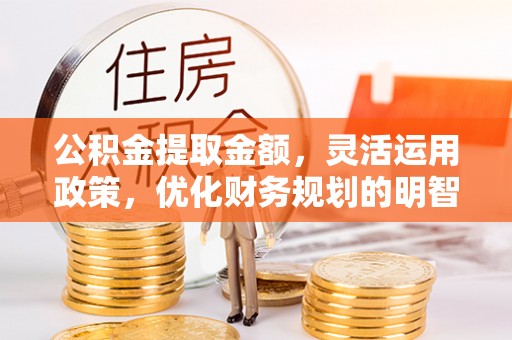 陆丰公积金提取金额，灵活运用政策，优化财务规划的明智选择
