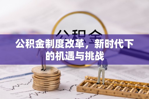 陆丰公积金制度改革，新时代下的机遇与挑战