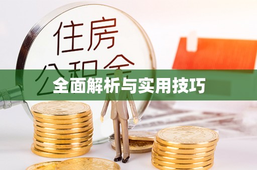 陆丰全面解析与实用技巧