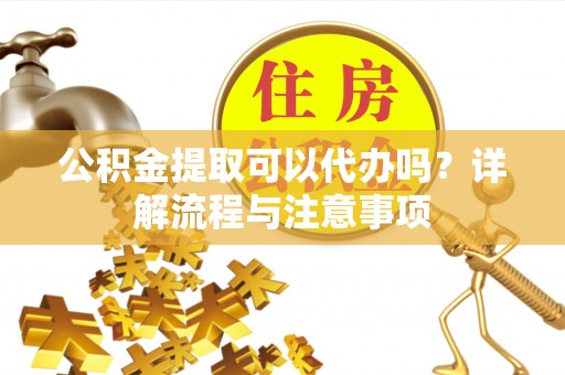 陆丰公积金提取可以代办吗？详解流程与注意事项