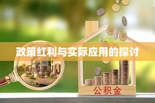 陆丰政策红利与实际应用的探讨