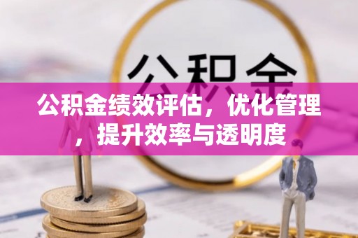 陆丰公积金绩效评估，优化管理，提升效率与透明度