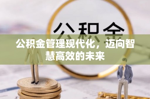陆丰公积金管理现代化，迈向智慧高效的未来