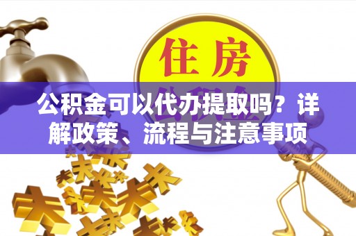 陆丰公积金可以代办提取吗？详解政策、流程与注意事项