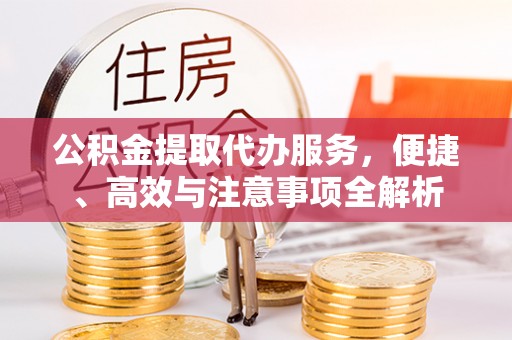 陆丰公积金提取代办服务，便捷、高效与注意事项全解析