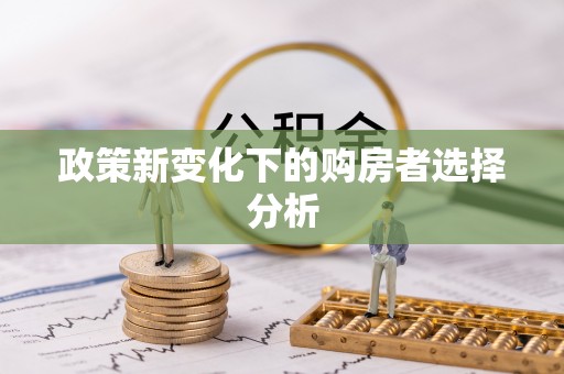 陆丰政策新变化下的购房者选择分析