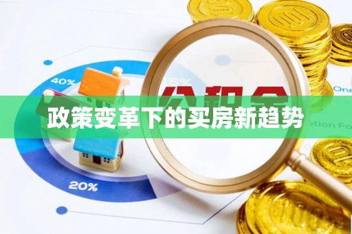 陆丰政策变革下的买房新趋势