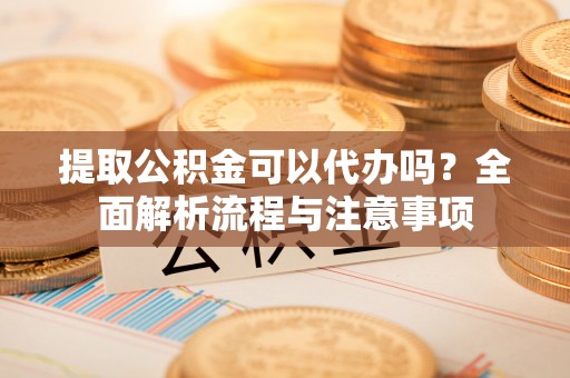 陆丰提取公积金可以代办吗？全面解析流程与注意事项