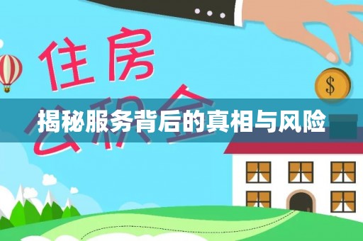 陆丰揭秘服务背后的真相与风险