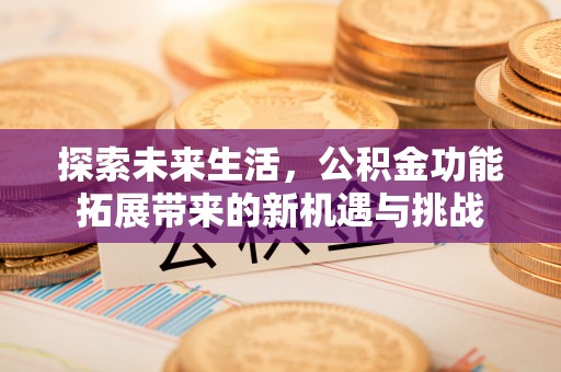 陆丰探索未来生活，公积金功能拓展带来的新机遇与挑战