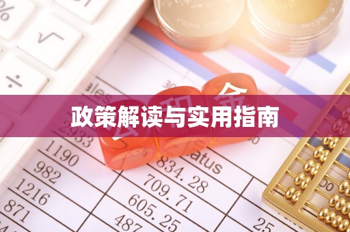 陆丰政策解读与实用指南