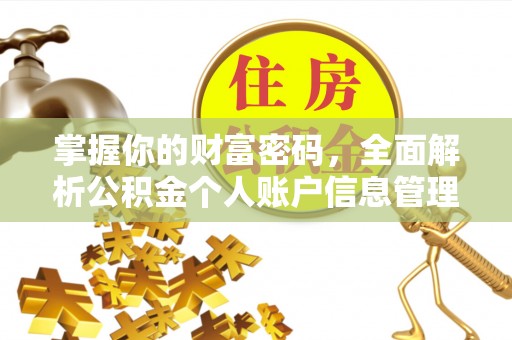 陆丰掌握你的财富密码，全面解析公积金个人账户信息管理