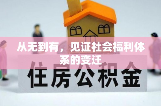 陆丰从无到有，见证社会福利体系的变迁