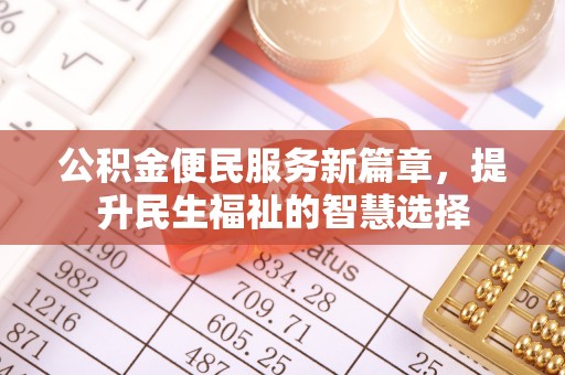 陆丰公积金便民服务新篇章，提升民生福祉的智慧选择