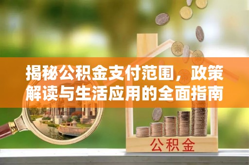 陆丰揭秘公积金支付范围，政策解读与生活应用的全面指南