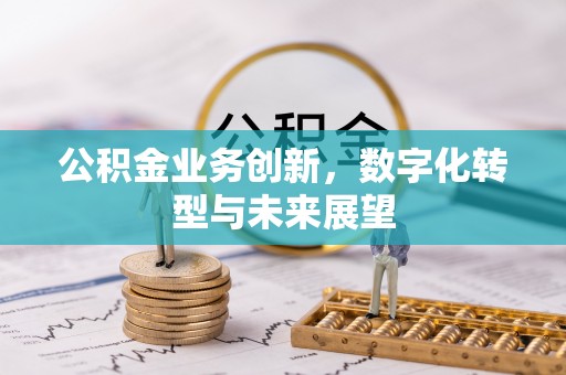 陆丰公积金业务创新，数字化转型与未来展望