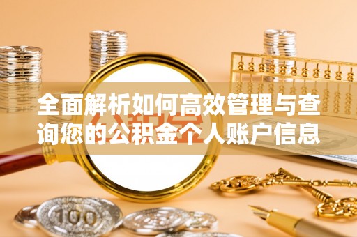 陆丰全面解析如何高效管理与查询您的公积金个人账户信息