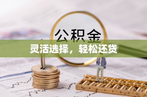 陆丰灵活选择，轻松还贷