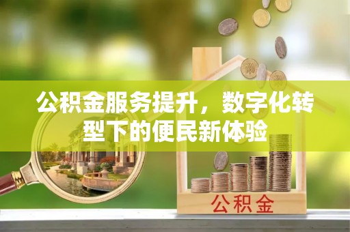 陆丰公积金服务提升，数字化转型下的便民新体验