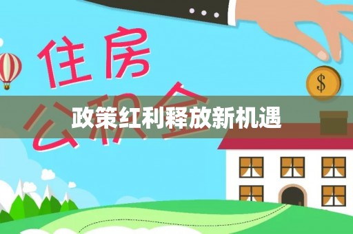 陆丰政策红利释放新机遇