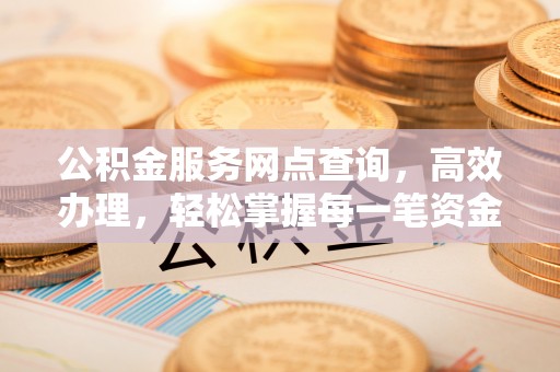 陆丰公积金服务网点查询，高效办理，轻松掌握每一笔资金动态