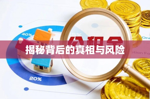 陆丰揭秘背后的真相与风险