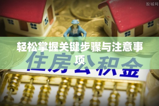 陆丰轻松掌握关键步骤与注意事项
