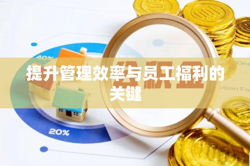 陆丰提升管理效率与员工福利的关键