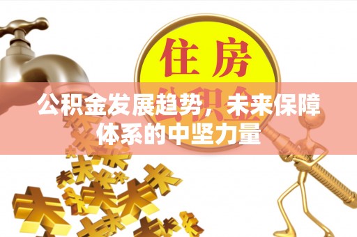 陆丰公积金发展趋势，未来保障体系的中坚力量