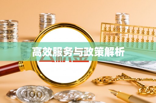 陆丰高效服务与政策解析