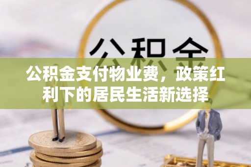 陆丰公积金支付物业费，政策红利下的居民生活新选择