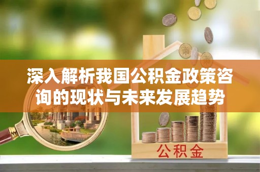 陆丰深入解析我国公积金政策咨询的现状与未来发展趋势