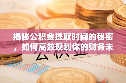 陆丰揭秘公积金提取时间的秘密，如何高效规划你的财务未来