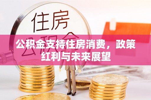 陆丰公积金支持住房消费，政策红利与未来展望