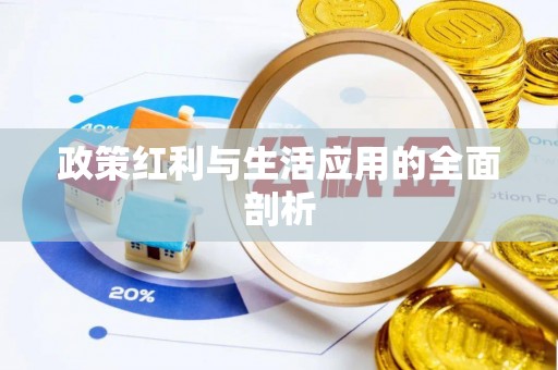 陆丰政策红利与生活应用的全面剖析