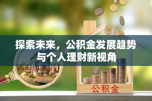 陆丰探索未来，公积金发展趋势与个人理财新视角