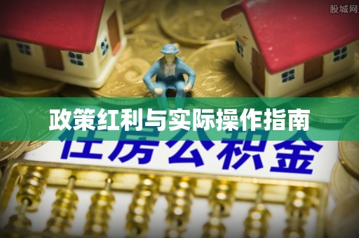 陆丰政策红利与实际操作指南