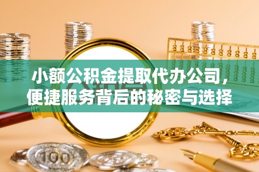 陆丰小额公积金提取代办公司，便捷服务背后的秘密与选择指南