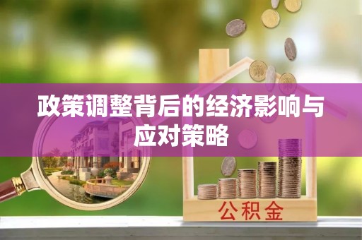 陆丰政策调整背后的经济影响与应对策略