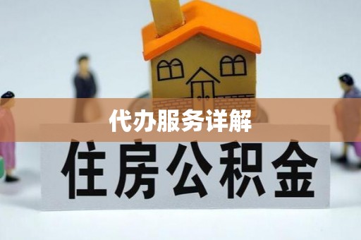陆丰代办服务详解
