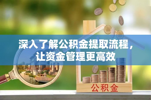 陆丰深入了解公积金提取流程，让资金管理更高效