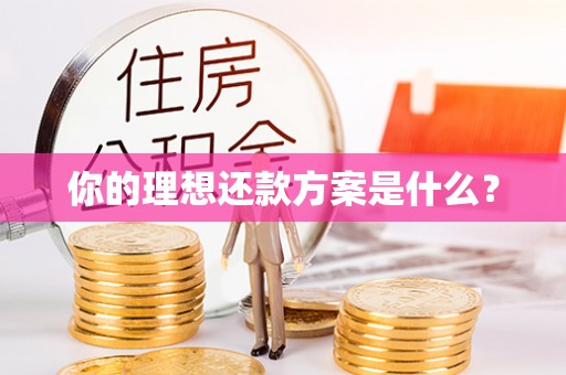 陆丰你的理想还款方案是什么？