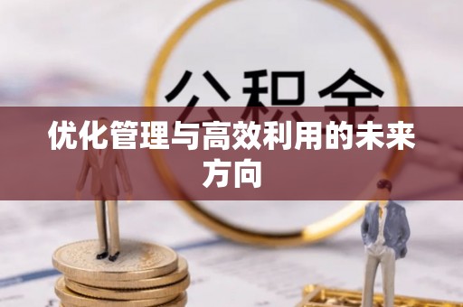 陆丰优化管理与高效利用的未来方向